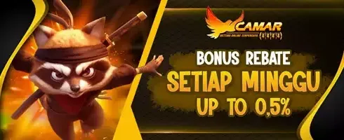VIP Cashback Rebate 0.5% promotion banner